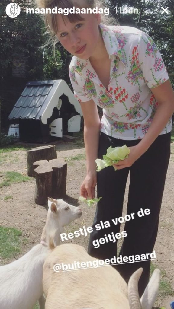 elvis rot knuffelen en kroelen met geitjes bij buitengoed de gaard