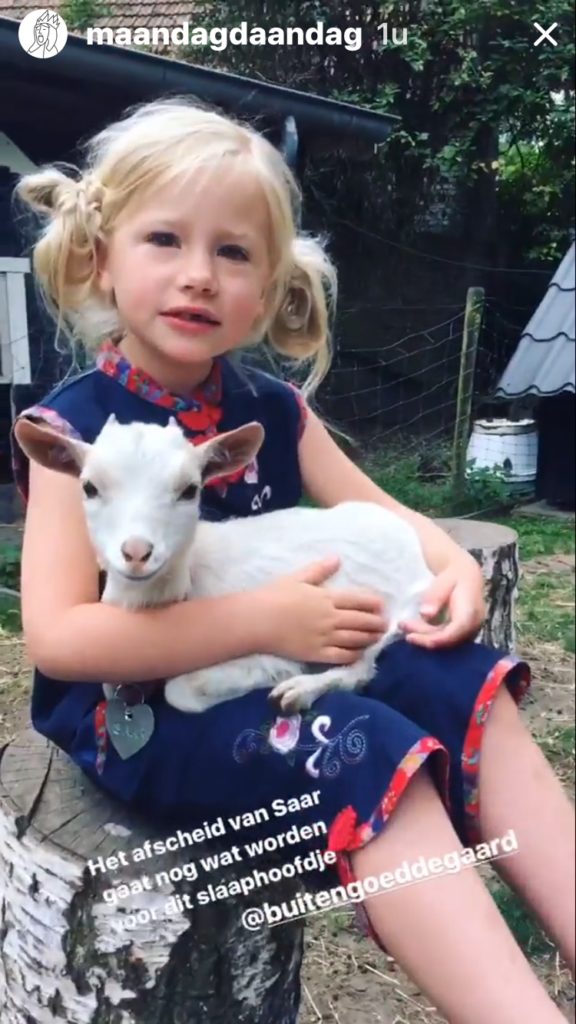 maandag maandag knuffelen met geitjes bij buitengoed der gaard pipowagendeluxe Petra slaapwagen