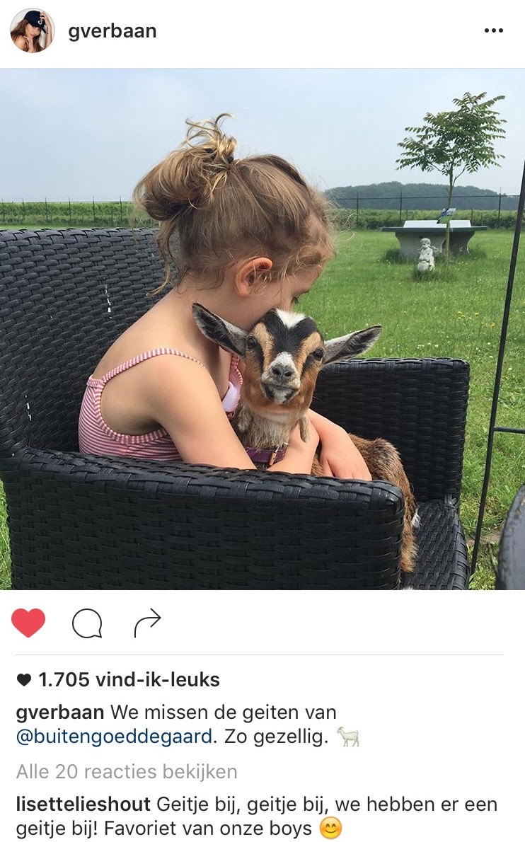 tweet georgina verbaan knuffelen met geitjes bij buitengoed de gaard mammaloewagen 2016