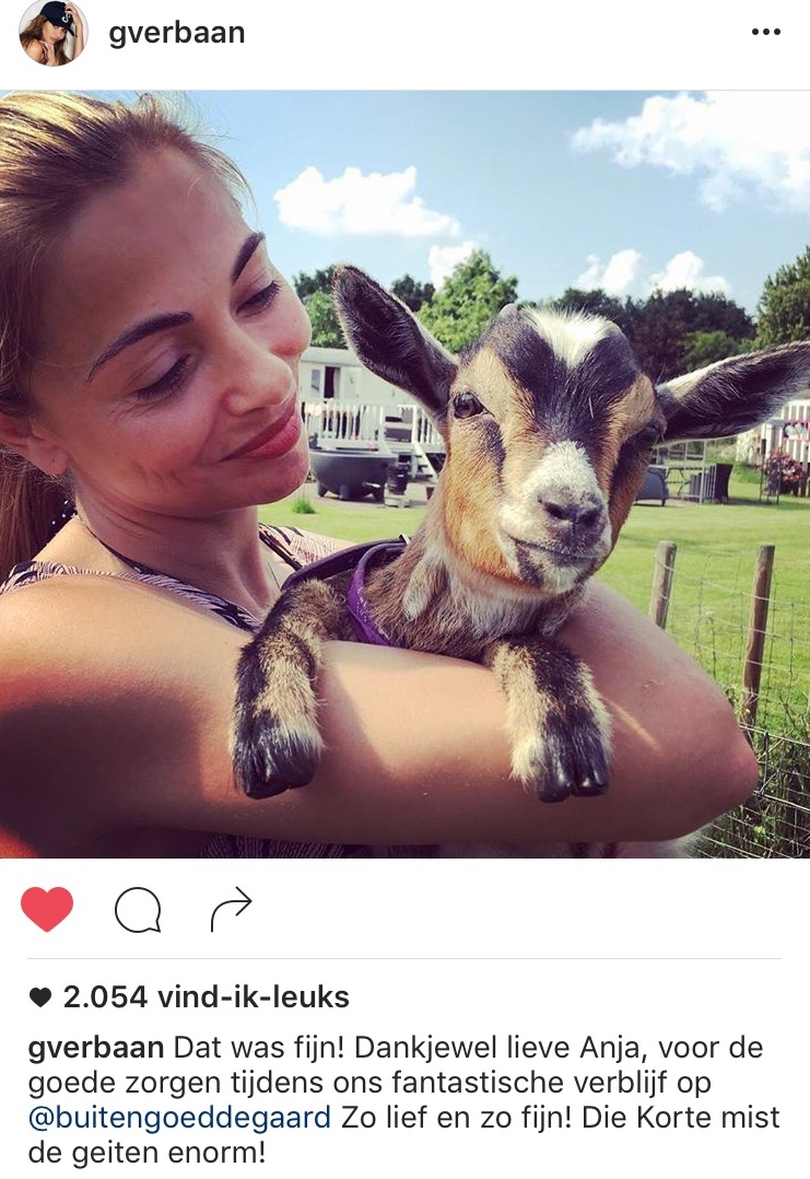 zoveel geitenliefde van en voor georgina verbaan knuffelen met geitjes bij buitengoed de gaard juni 2016