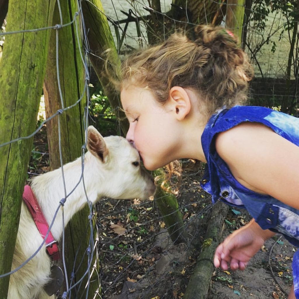 kiss a goat challenge